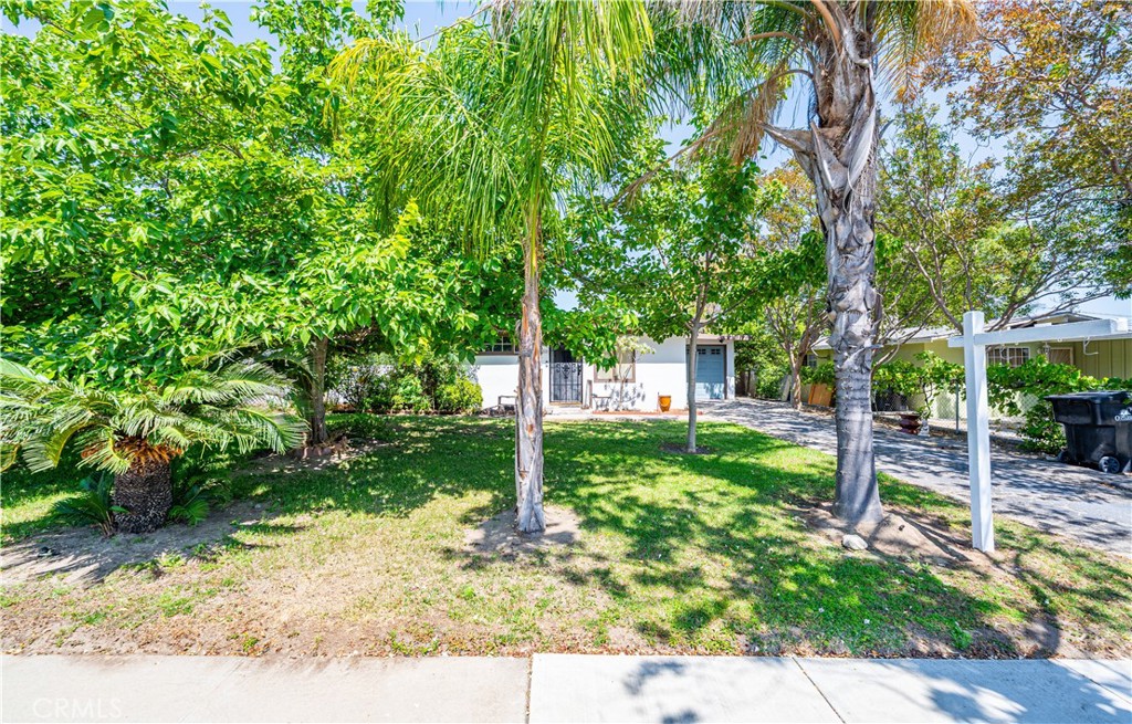 1358 Orchard