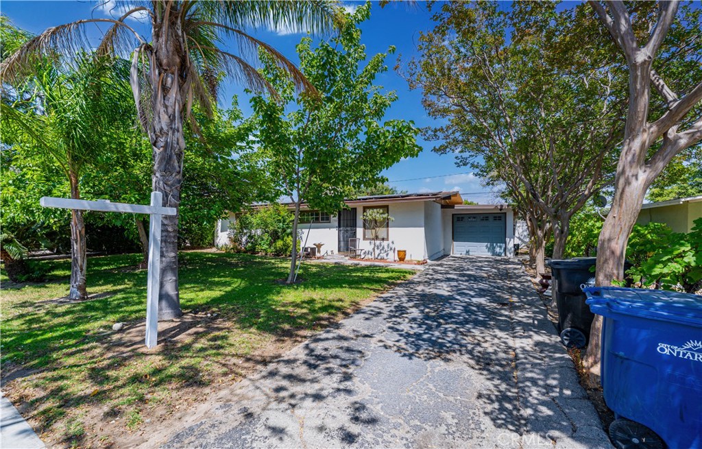 1358 Orchard