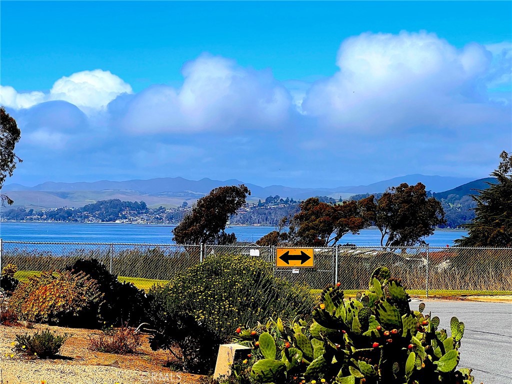 OPPORTUNITY - OPPORTUNITY - LOCATION-LOCATION ! NEAR THE BAY ... and Los Osos Sand Dunes!
Located in the highly desirable Sunset Terrace neighborhood—just across from Sea Pines Golf Resort—this beautiful 2,344 sq ft home offers space, style, and a truly unique coastal lifestyle.
Step into the impressive living room featuring a real wood-burning fireplace and electric drapes that unveil sweeping views of the golf course and bay—perfect for relaxing or entertaining. The formal dining room leads into a spacious galley-style kitchen with dinette, which flows seamlessly into a generous family room with a dry bar.
Just a few steps down, you’ll find a stunning sunroom over 20 feet long—a warm, inviting space perfect for gatherings, hobbies, or peaceful moments year-round. Outside, enjoy your very own putting green! Home includes two large en-suite bedrooms, offering comfort and privacy; fully finished garage with built-in cabinetry and workbench adds wonderful storage and functionality.
And the community? Sunset Terrace is a charming, welcoming area where neighbors gather, Sea Pines hosts weekend concerts, and the dunes and bay sunsets are just blocks away. A COMMUNITY ... TO LOVE; COME SEE!
Don’t miss out on this one-of-a-kind property—make your offer today!