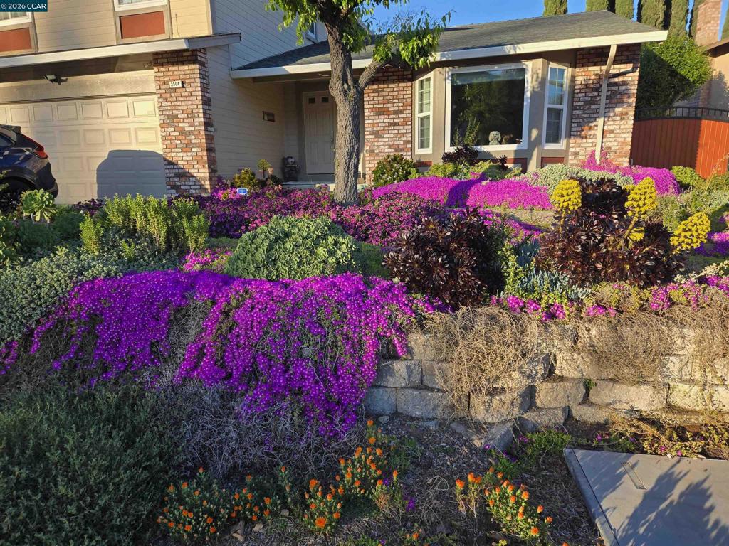 2504 Silverado Dr