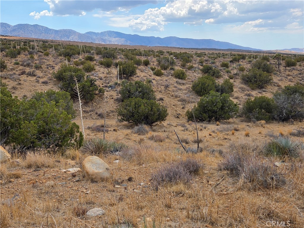 Beautiful scenery of the desert and tranquil skies and much more. Home structures are near by, come and build your custom home here.