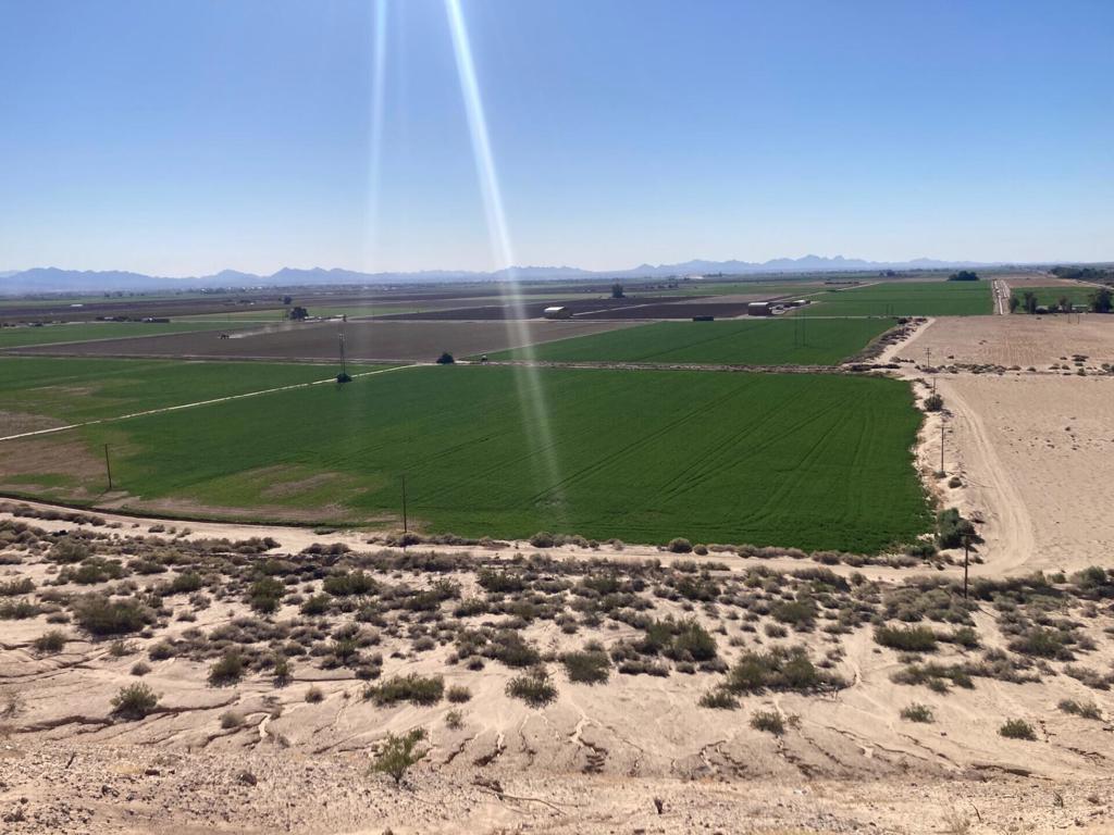 6 Acres On Arrowhead Boulevard