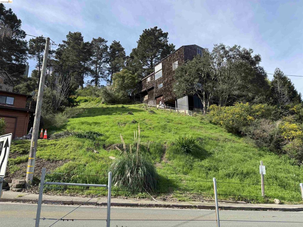 Buena Vista Ave
