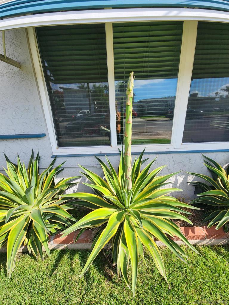 College Grove - Residential