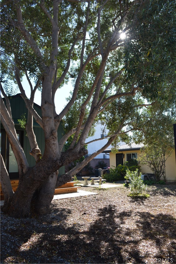 Custom Homes - Residential Lease