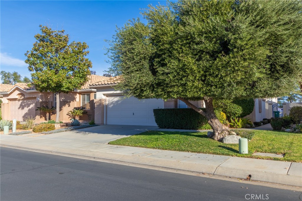 721 Big Spring Drive