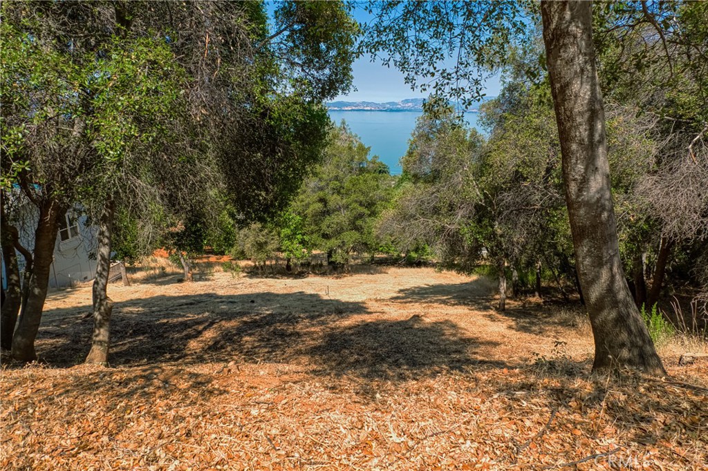 LAKEVIEWS!! This buildable lot is located near the top of the Riviera Heights community, making you feel away from it all. Enjoy the beautiful lake views and come build your dream home. The Riviera Heights also provides property owners with access to the clubhouse, swimming pool, lake access, picnic area and boat launch. Only about a 10-minute drive to downtown Kelseyville, schools and restaurants.