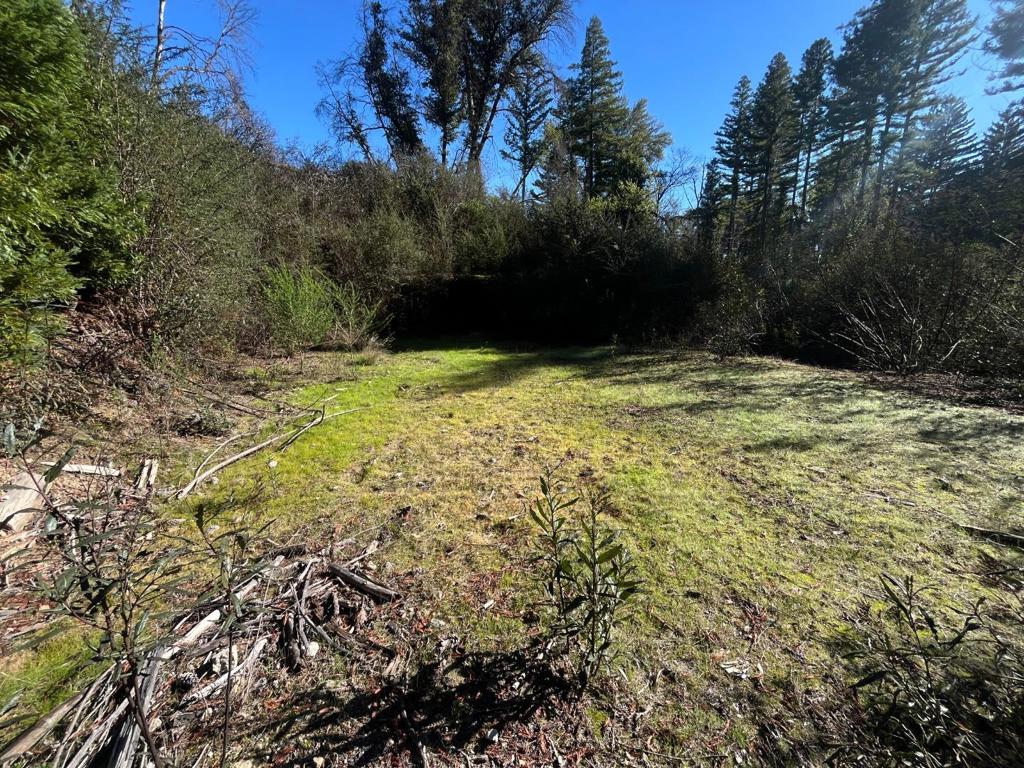 16470 Jamison Creek Road