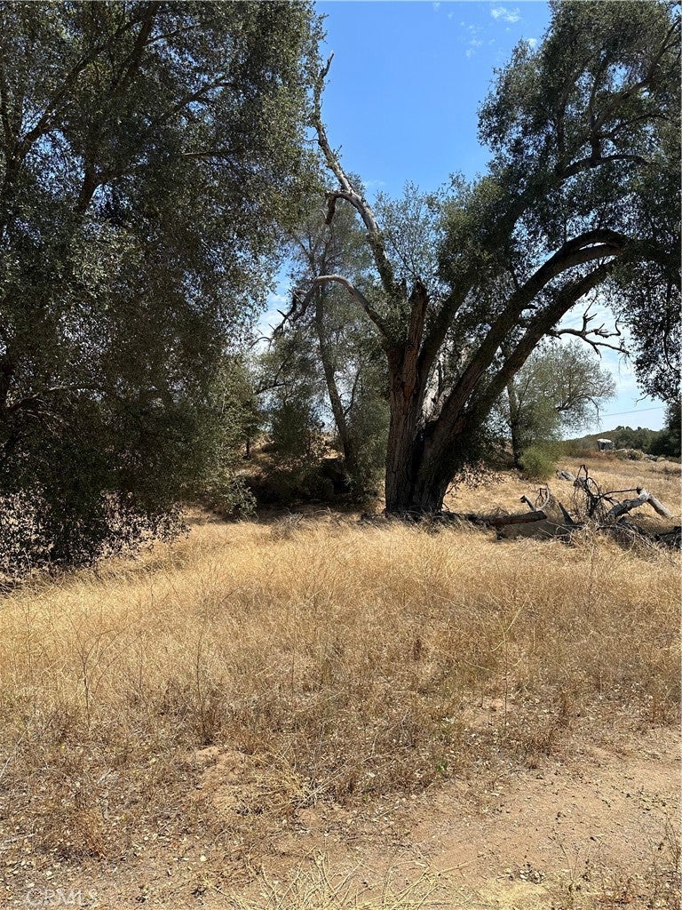 44502 De Portola Road