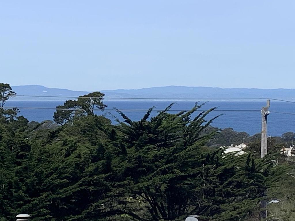 Spacious gem in heart of New Monterey...Bay views!...City light views!...Santa Cruz Mountain views!...Orange glow skies at sunset!...Lots of light throughout...Centrally located to Cannery Row, Pacific Grove, Pebble Beach...Reverse flr pln w/bamboo flrs...Vaulted ceilings...Huge atrium windows...Fantastic, modern updates throughout, especially in kitchen with high-end Miele appliances...huge island...soft-touch cabinets...beautiful tile-work...Newly remodeled primary bath with gorgeous walk-in shower and huge skylight...Expansive, panoramic views across bay fill 3d flr bed...Great primary suite w/awesome views through wall of windows...More vaulted ceilings...Composite lower/upper decks in back yard...with hot tub....appx 1900, 4/2.5=Fabulous ocean view retreat! Must see today!