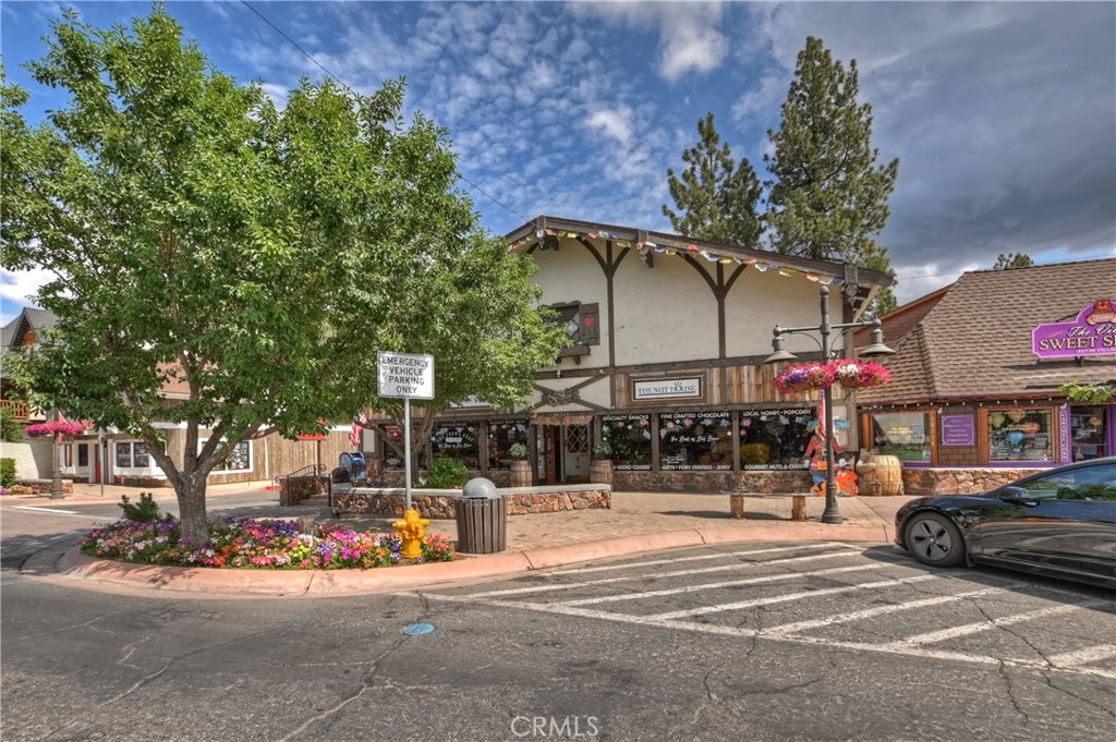 VILLAGE RETAIL BUILDING. Rare Offering in the Village 'L' on the corner of Village Drive and Cottage Ln. It's on the north side of Village Dr, so great sunny, Southern exposure. Currently the home of the Village Nut House and The Crows Nest (formerly the Toy Gallery). This Village Retail Duplex includes 2,890 sq ft of retail space on the main level and an additional 884 sq ft of storage space on the lower level. Note: The list price is for real estate only. Both the Village Nut House and Crows Nest are available for purchase for an additional price of $150,000, which includes the inventory.