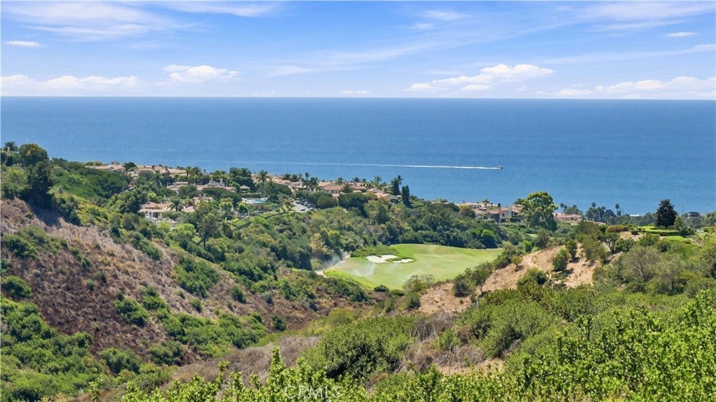 29 Bretagne, Newport Coast CA 92657 - Photo 29