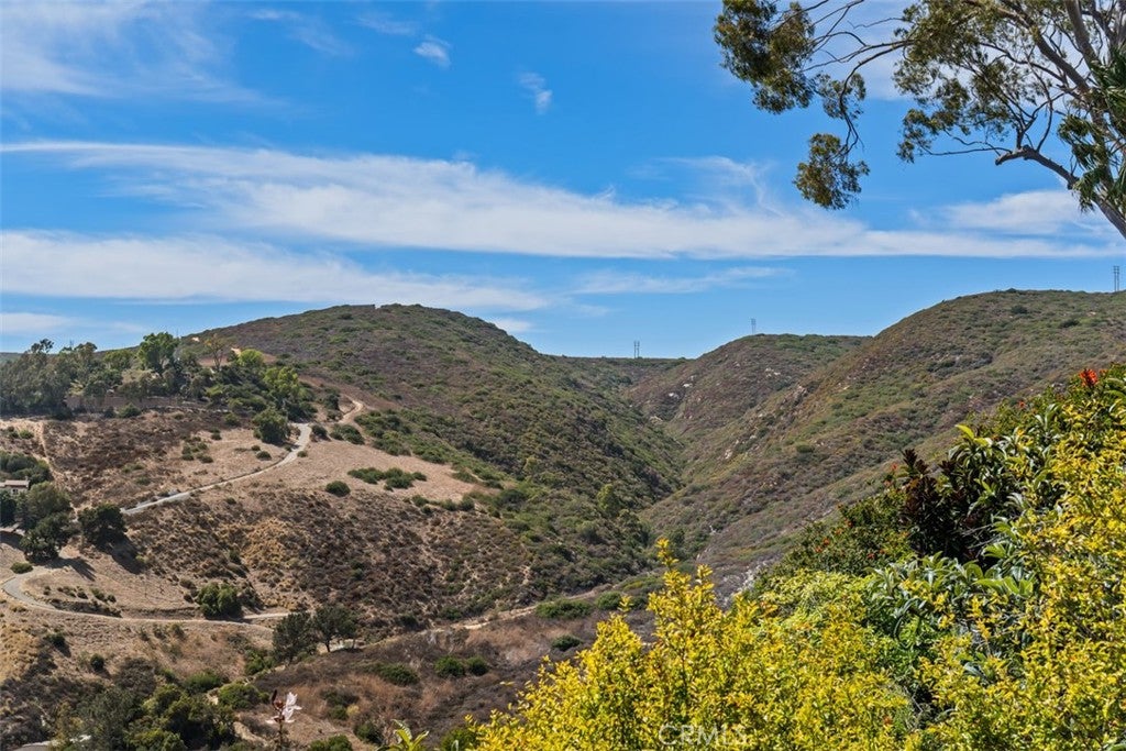 664 Mystic View, Laguna Beach CA 92651 - Photo 35