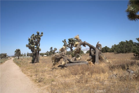 Photo of 0 Fremontia, Oak Hills, CA 92344 (MLS # CV26218001)
