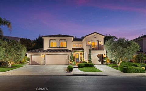 31262 Avenida Terramar San Juan Capistrano CA 92675