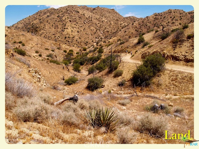 Not Applicable-1 - Land