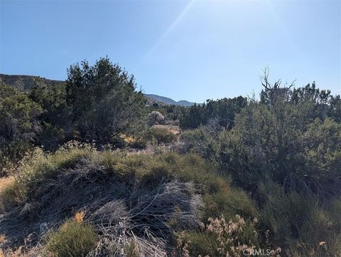 Photo of 8 Mountain Road, Pinon Hills, CA 92372 (MLS # IV26120578)
