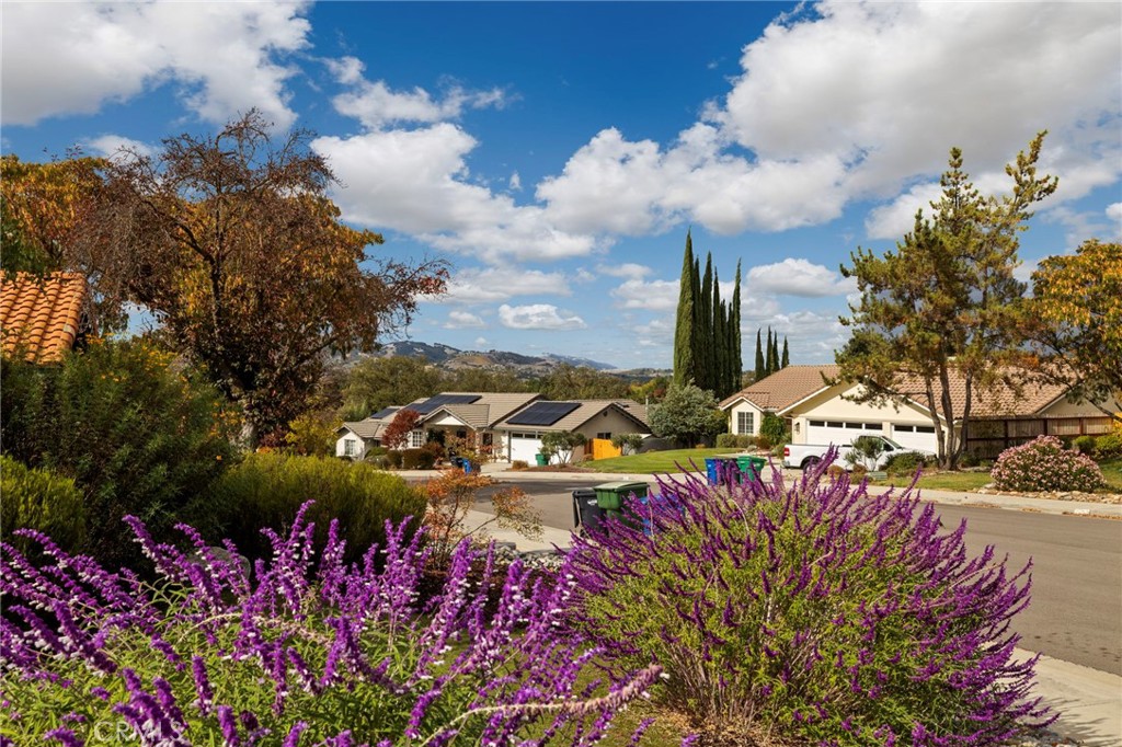 PR City Limits East(110) - Residential