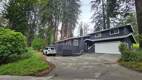 Photo of 105 William Way, Felton, CA 95018 (MLS # ML82041248)