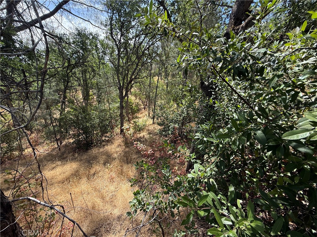 Welcome to 16305 Hillcrest Dr, a beautiful 1.86-acre homesite tucked into the peaceful Rancho Tehama community, an ideal canvas to bring your dream property to life. Whether you’re ready to build your perfect ranch-style home or simply invest in land for the future, this lot offers the space, setting, and potential you’ve been searching for. Surrounded by mature trees and set in a gently rolling landscape, there’s room here for everything: a custom-built home, garden, workshop, barn, pool, or outdoor entertainment areas. With utilities nearby and plenty of space to spread out, you can create the lifestyle you’ve always envisioned, peaceful, private, and fully your own. As part of the Rancho Tehama Association, you’ll enjoy access to a community park, the future site of a new community pool (currently under construction), and the convenience of the nearby Rancho Tehama Fire Department, offering added peace of mind for residents. Whether you’re dreaming of a peaceful weekend getaway, a homestead surrounded by nature, or simply a place to plant roots in Tehama County, 16305 Hillcrest Dr delivers the space and flexibility to make it yours. Come walk the land and imagine the possibilities!