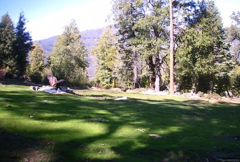 Photo of Conifer Lane, Palomar Mountain, CA 92060 (MLS # 250036030SD) Photo of Conifer Lane, Palomar Mountain, CA 92060 (MLS # 250036030SD)