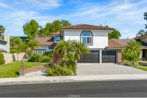 29102 Mira Vista Laguna Niguel CA 92677
