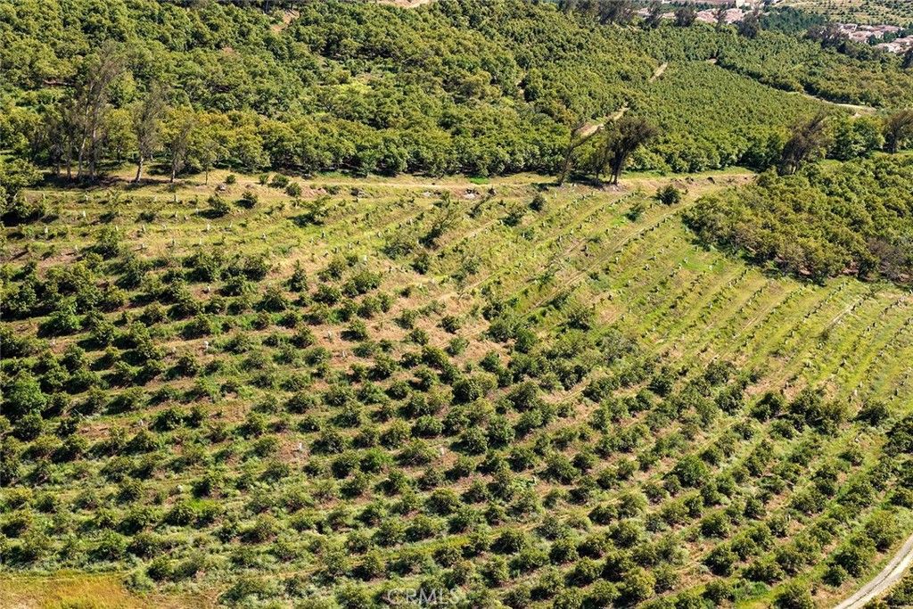 Photo of 106 Coldwater, Irvine, CA 92602 (MLS # OC26079558)