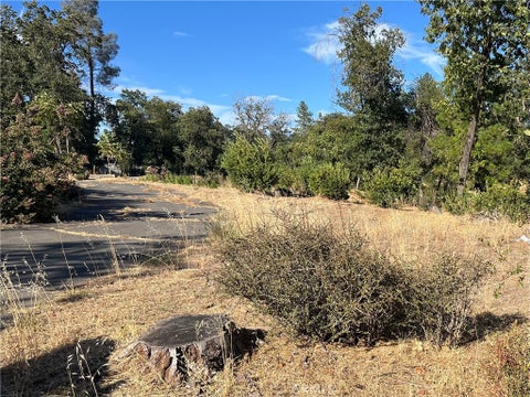 Photo of 145 Roe RD, Paradise, CA 95969 (MLS # SN26177226)