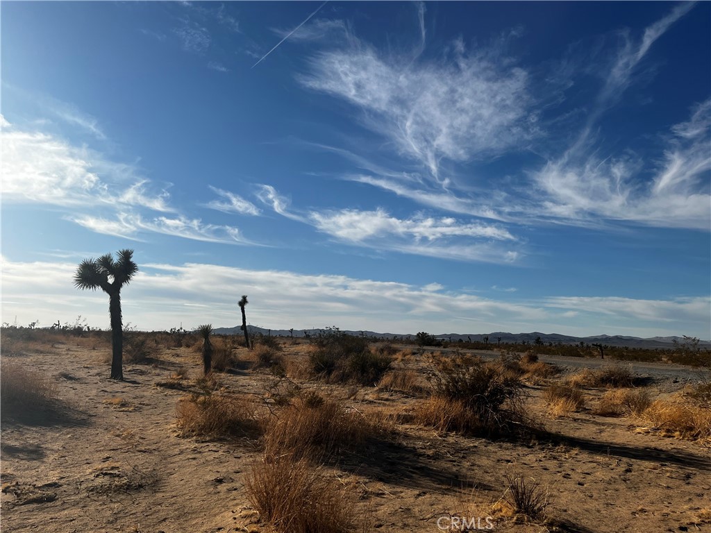 20 Acre lot located in a great location next to U.S. Route 395 one of the major shipping and transport routes in California. Prime opportunity to build in a growing area of the High Desert. Zoned residential R1-2.5 and borders light industrial zoning so possible opportuniities, check with the City of Adelanto.