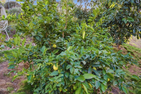 Tiny photo for 6446 San Como Lane, Camarillo, CA 93012 (MLS # V1-39265)