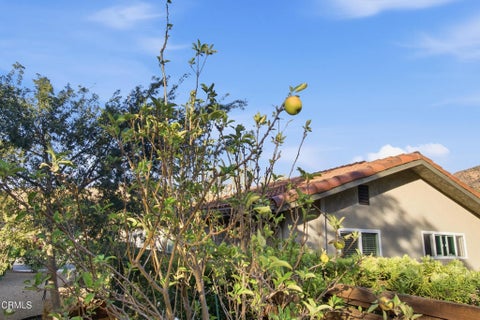 Tiny photo for 6446 San Como Lane, Camarillo, CA 93012 (MLS # V1-39265)