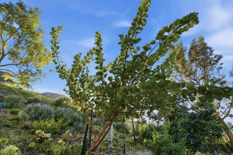Tiny photo for 6446 San Como Lane, Camarillo, CA 93012 (MLS # V1-39265)
