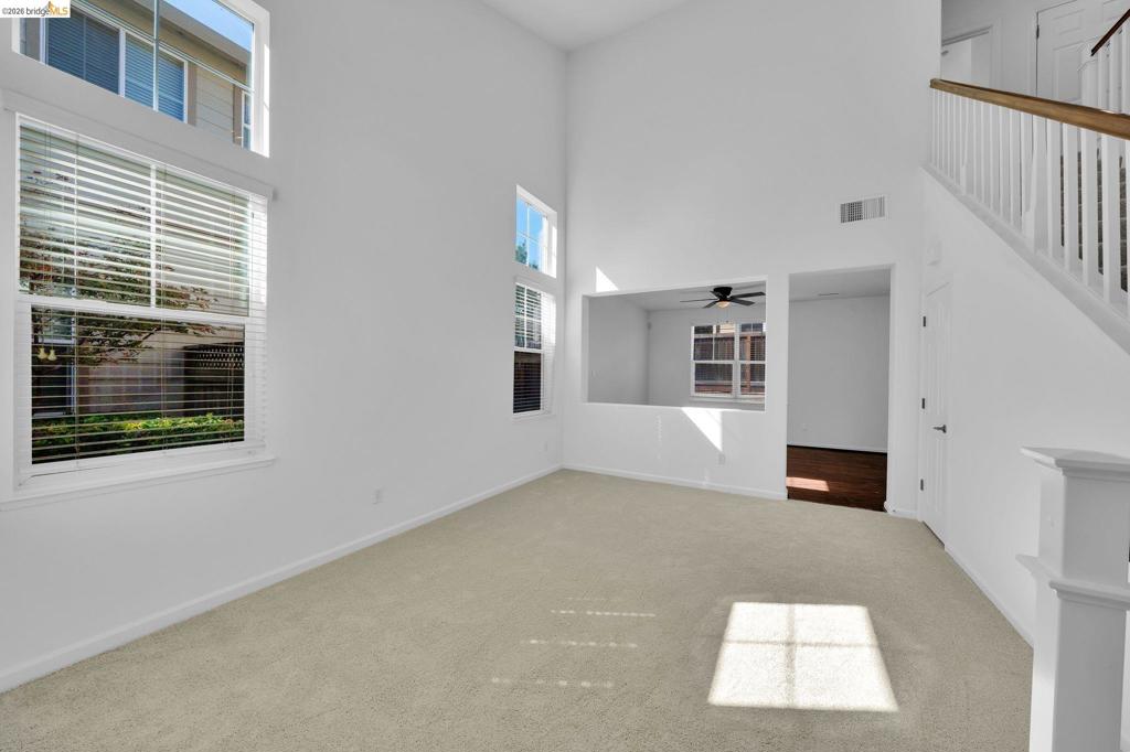 500 Verbena Court