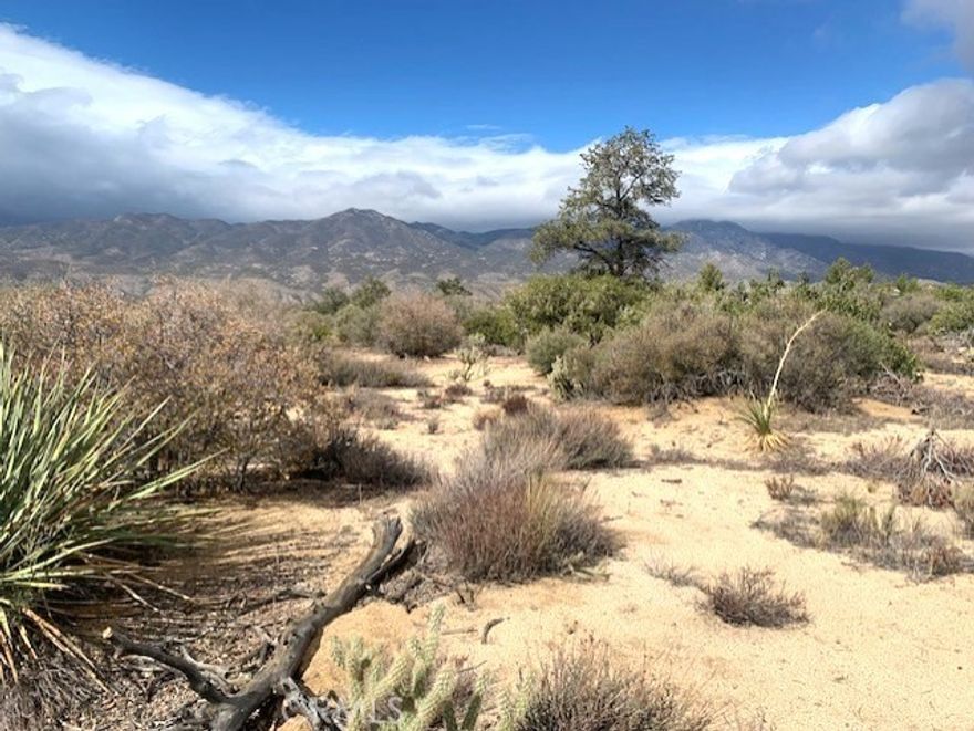 Exceptional 1 Acre View Parcel ~ Flat and usable, with lot's of "personality" ~ Easy Access ~ Gorgeous native vegetation, including Pinyon Pines ~ Views are amazing: Santa Rosa National Monument to the South, the grand San Jacinto's to the NW ~ A wonderful location: Convenient to the Desert Cities, Idyllwild, Temecula, under two hours to the coastal communities, San Diego and LA ~ Great outdoor adventure playground, plenty of room for horses and other animals, hiking and mountain biking ~ This is a "dark" community where planet, star, constellation, comet's and far off galaxies can be viewed ~ Great time to design and build your dream home just the way you want it ~ Property will need a well, power and septic before you are able to build and reside on this Super Spot ~ Fencing along back side of parcel ~ Buyer, Buyer's Agent to conduct your own "due diligence" in regards to county requirements ~