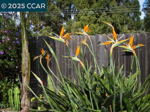 Not Listed - Residential