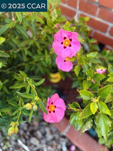 Not Listed - Residential