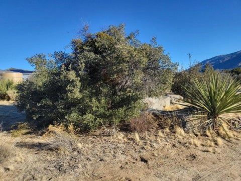 Tiny photo for 0 Zurich Avenue, Mountain Center, CA 92561 (MLS # 219154993DA)