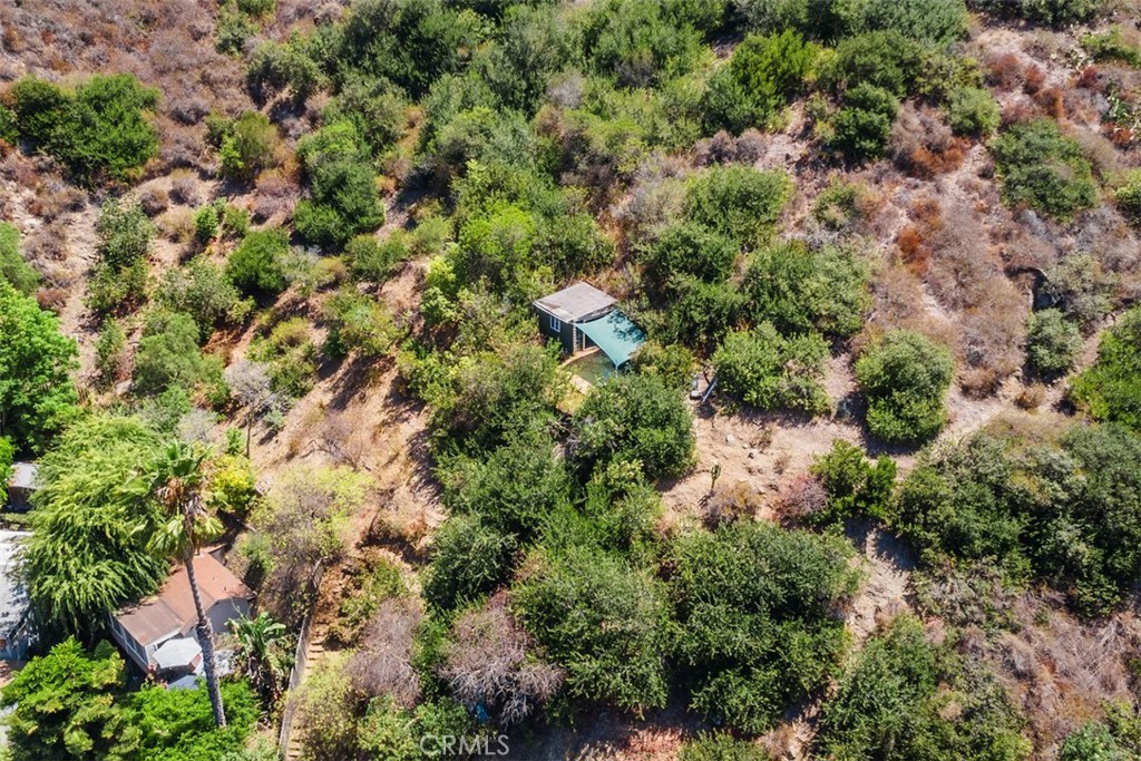 Canyon (CYN) - Residential