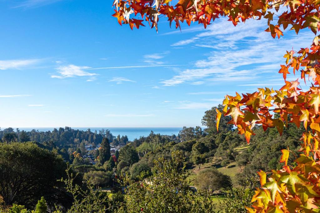530 Quail Run Road