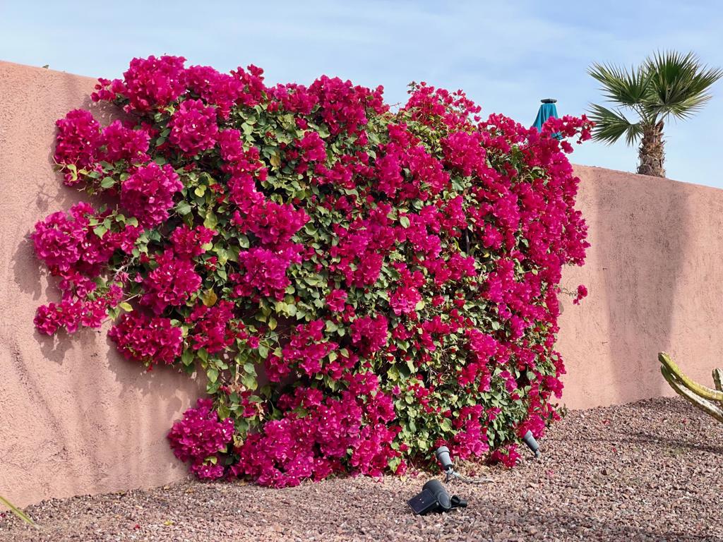 Palm Desert Country - Residential Lease