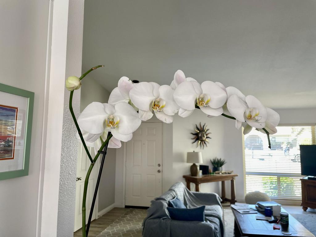 Palm Desert Country - Residential Lease