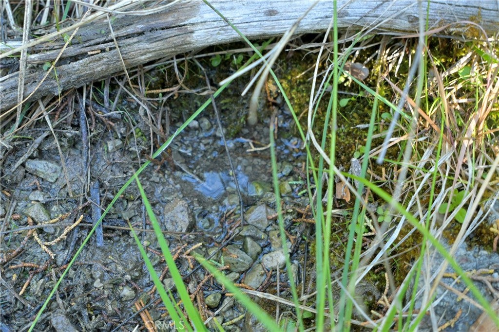 1 Duzel Creek Road