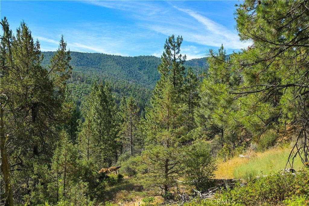 1 Duzel Creek Road