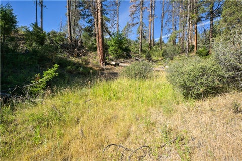 Photo of 1 Duzel Creek Road, Fort Jones, CA 96032 (MLS # SN26135037)