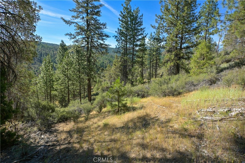 1 Duzel Creek Road