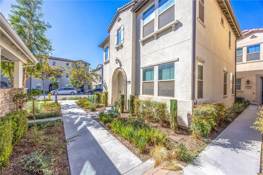 7442 Desert Holly