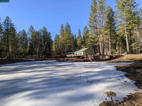Photo of 31874 State Highway 44, Shingletown, CA 96088 (MLS # 41132685)