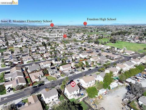 Tiny photo for 2004 2004 Hedge Way Ave, Brentwood, CA 94513 (MLS # 41126349)