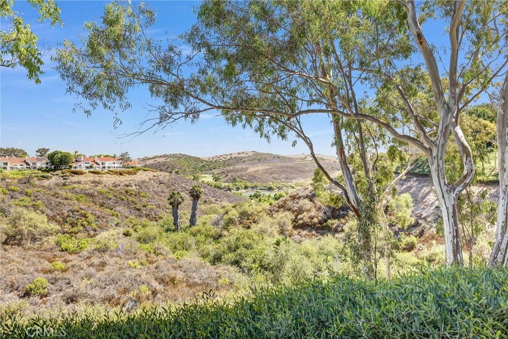 38 Morning Breeze, Irvine CA 92603 - Photo 29