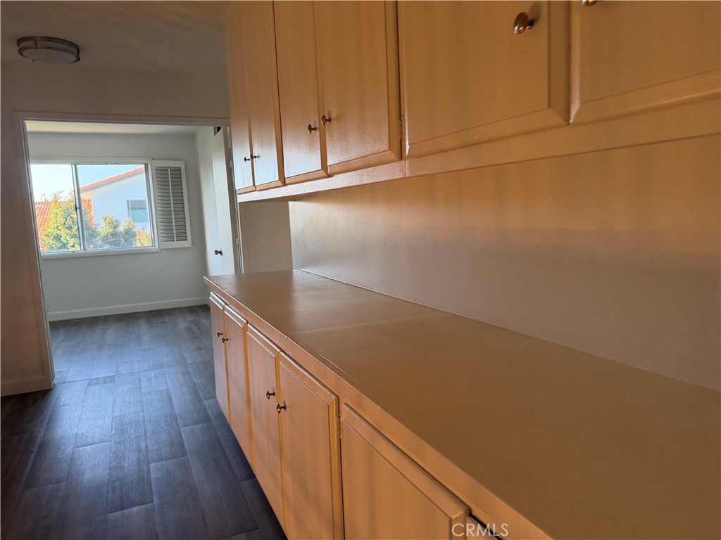 8281 Devilwood